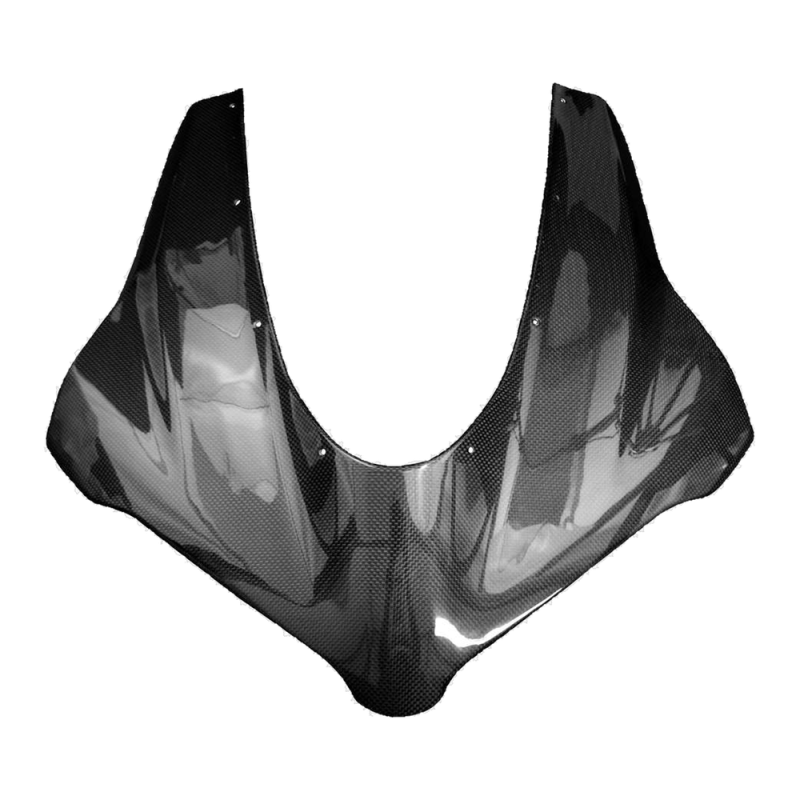 F&F Carbon Frontverkleidung, 100 % Carbon – Ducati Panigale V4/V4S ab 2025
