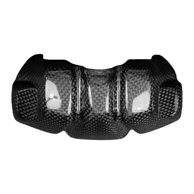 F&F Carbon Frontverkleidung, Carbon/Glasfaser – Ducati Streetfighter V2 ab 2021