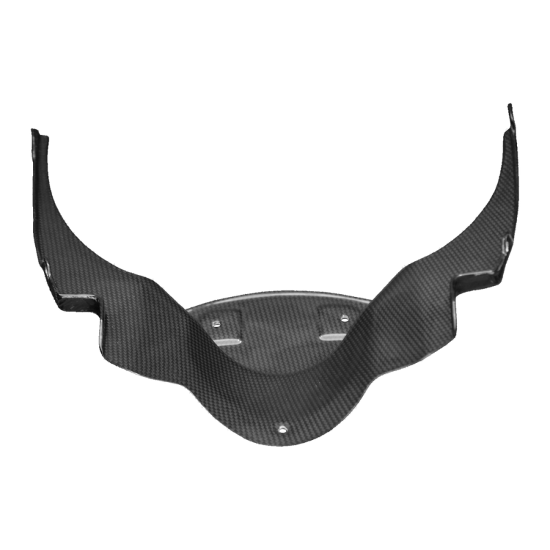 F&F Carbon Frontverkleidung-Halter, Carbon/Glasfaser – Ducati 1098, 1198 u. a.