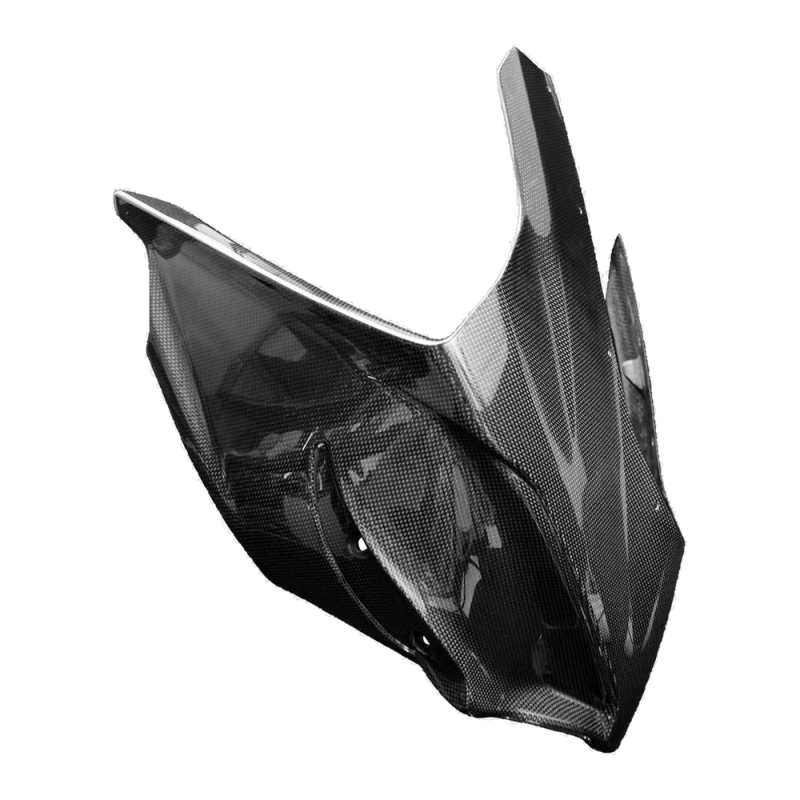 F&F Carbon Frontverkleidung-Racing, 100 % Carbon – Ducati Panigale V4, Panigale V4S ab 2025