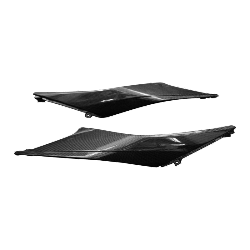 F&F Carbon Heck-Seitenverkleidung, 100 % Carbon – Aprilia Tuono V4 ab 2025, RSV4 ab 2025