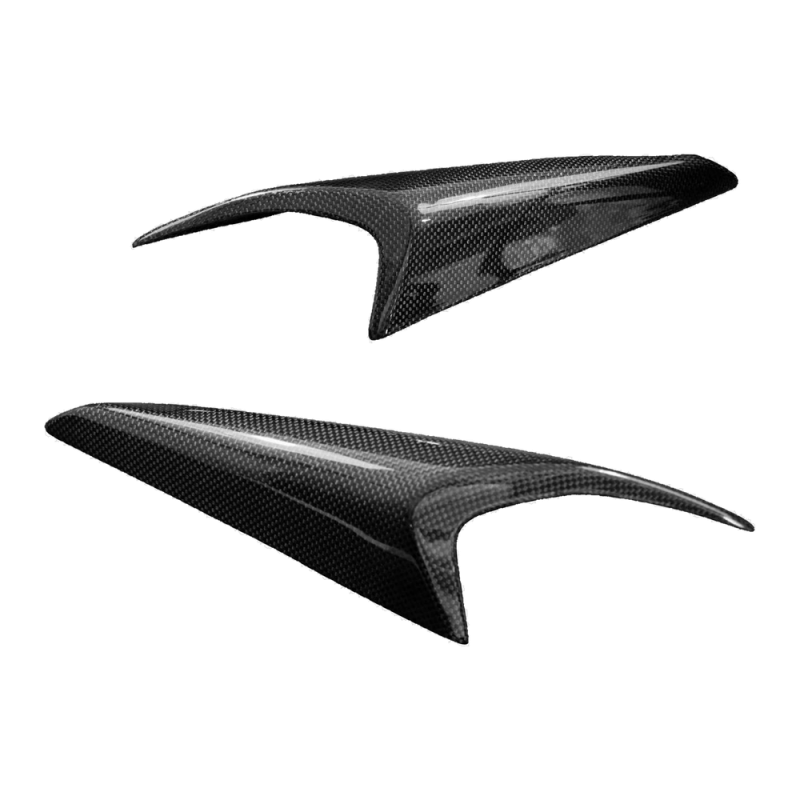 Fianchetto laterale codone F&F Carbon, carbonio/fibra di vetro – Ducati Monster 937 dal 2021