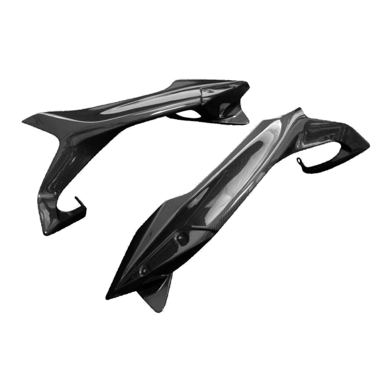 F&F Carbon Heck-Seitenverkleidung, 100 % Carbon – Ducati Panigale V2 ab 2025, Streetfighter V2 ab 2025