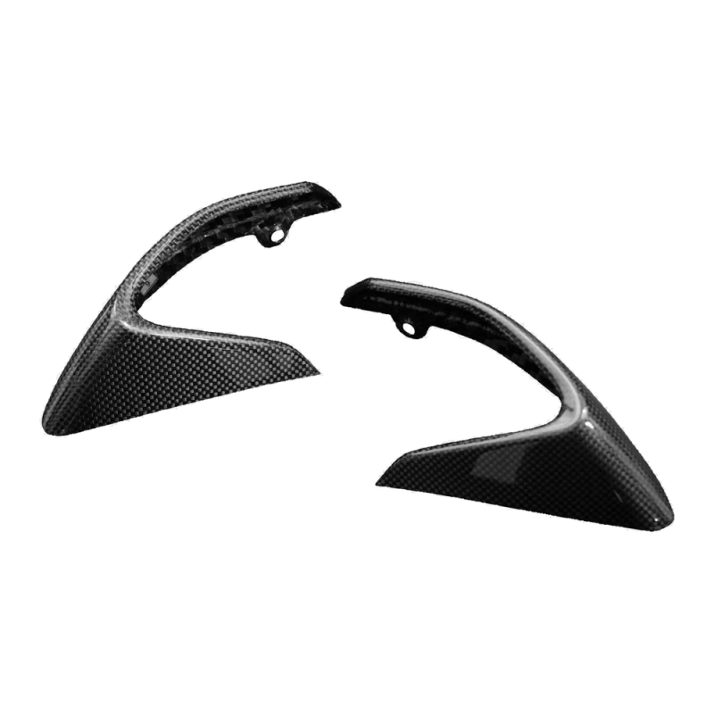 F&F Carbon Heck-Seitenverkleidung, 100 % Carbon – MV Agusta Dragster 800 RR ab 2018