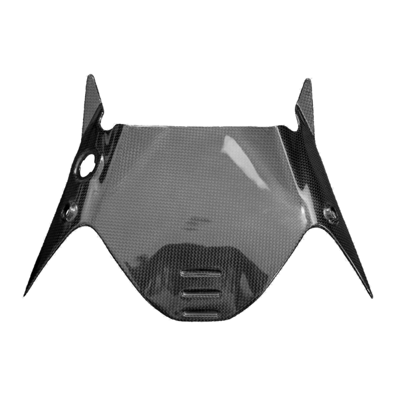 F&F Carbon Heck-Unterverkleidung, Carbon/Glasfaser – Ducati Diavel V4