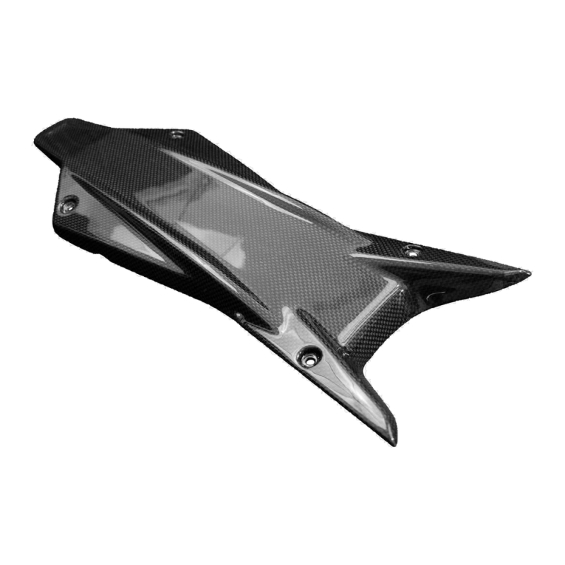 Sottocodone F&F Carbon, carbonio/fibra di vetro – Ducati Monster 937 dal 2021