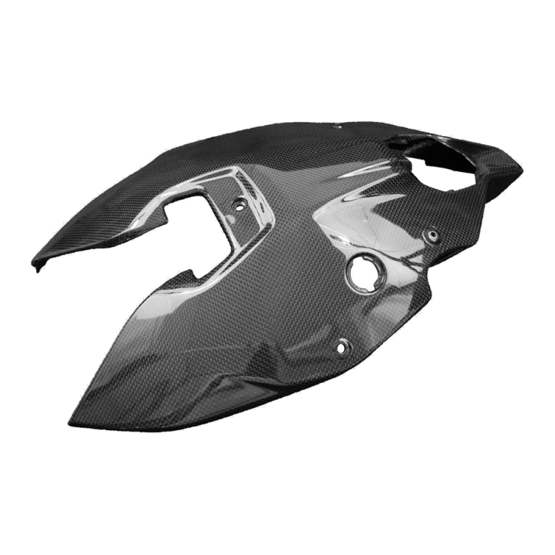 Sottocodone F&F Carbon, carbonio/fibra di vetro – Ducati Panigale V2 dal 2020