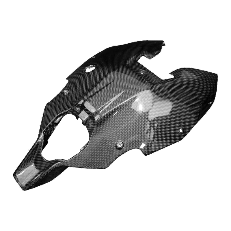 F&F Carbon Heck-Unterverkleidung, 100 % Carbon – Ducati Streetfighter V2 ab 2021