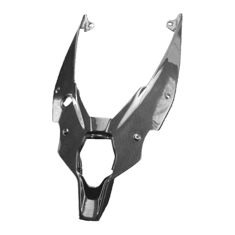 F&F Carbon Heck-Unterverkleidung, Carbon/Glasfaser – Ducati Streetfighter V4