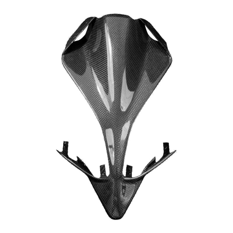 F&F Carbon Heck-Unterverkleidung ohne Ausschnitte, Carbon/Glasfaser – Ducati Panigale 1299