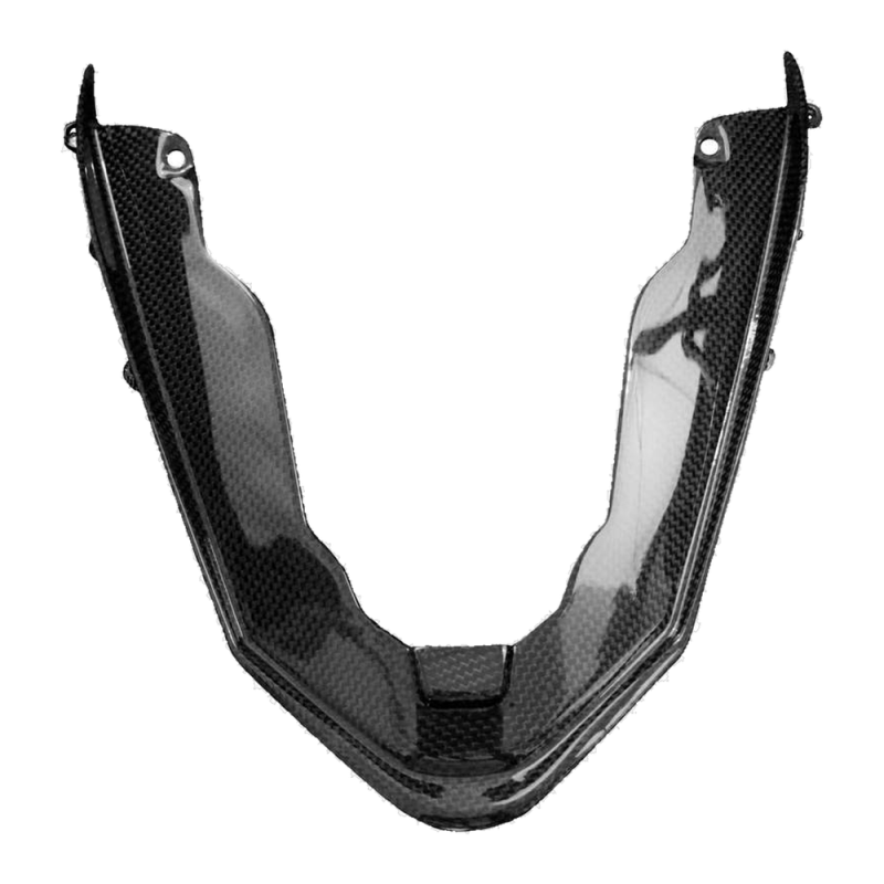 F&F Carbon Heckverkleidung (Doppelsitz), 100 % Carbon – Ducati Panigale V4/V4S 2020–2021, Panigale V2 u. a.