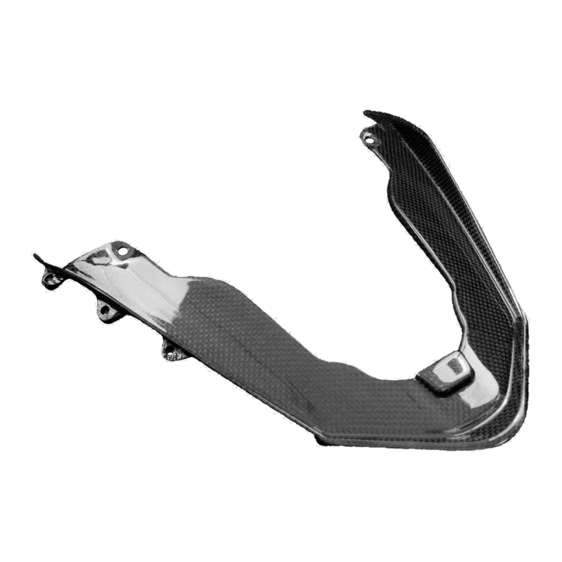 F&F Carbon Heckverkleidung (Doppelsitz), 100 % Carbon – Ducati Panigale V4/V4S 2020–2021, Panigale V2 u. a.