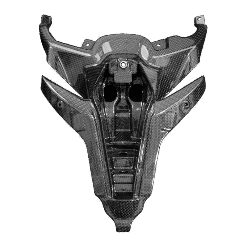 Codone F&F Carbon, carbonio/fibra di vetro – Ducati Panigale V4, Panigale V4S ecc.
