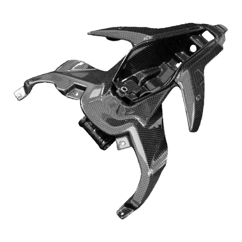 Codone F&F Carbon, carbonio/fibra di vetro – Ducati Panigale V4, Panigale V4S ecc.
