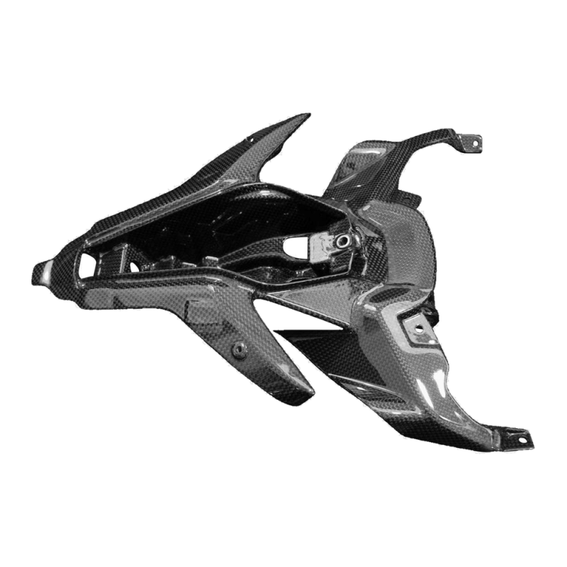 Codone F&F Carbon, carbonio/fibra di vetro – Ducati Panigale V4, Panigale V4S ecc.