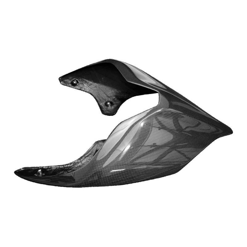 F&F Carbon Heckverkleidung (Monoposto), 100 % Carbon – Ducati Streetfighter V4 ab 2020