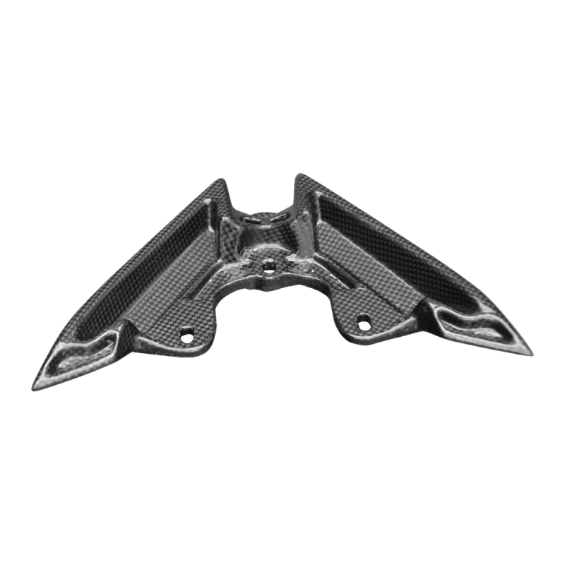 F&F Carbon Heckverkleidung, 100 % Carbon – MV Agusta Dragster 800 2014–2018, Dragster RR 2015–2017 u. a.