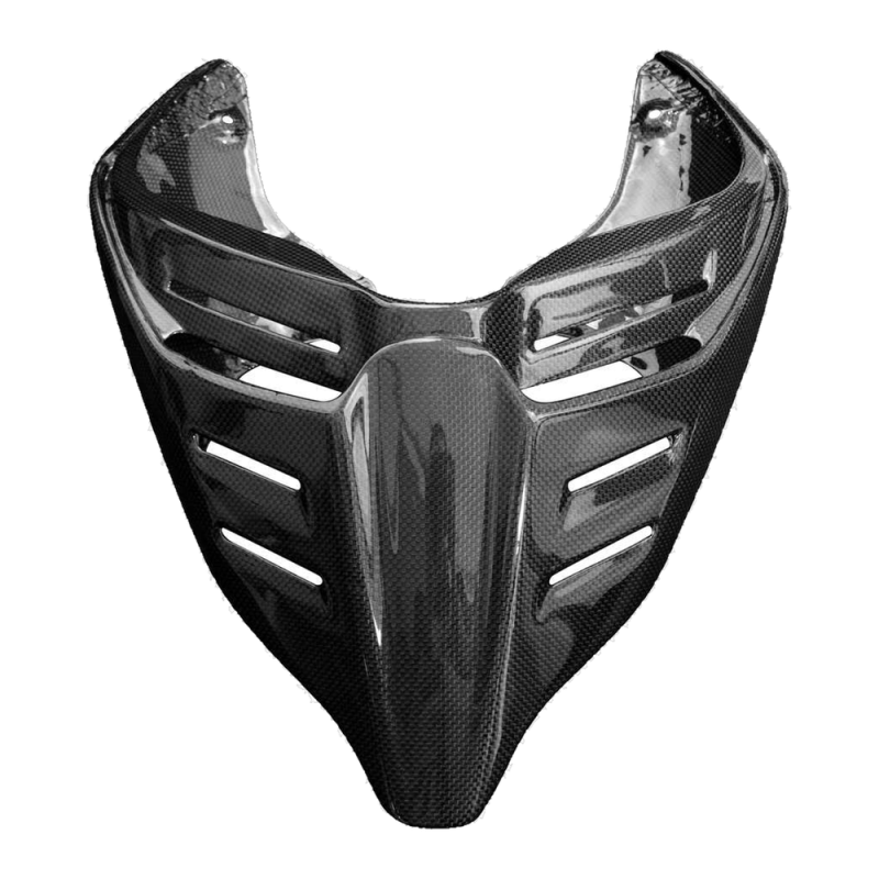 F&F Carbon Heckverkleidung-Racing, 100 % Carbon – Ducati Panigale V4/V4S/V2