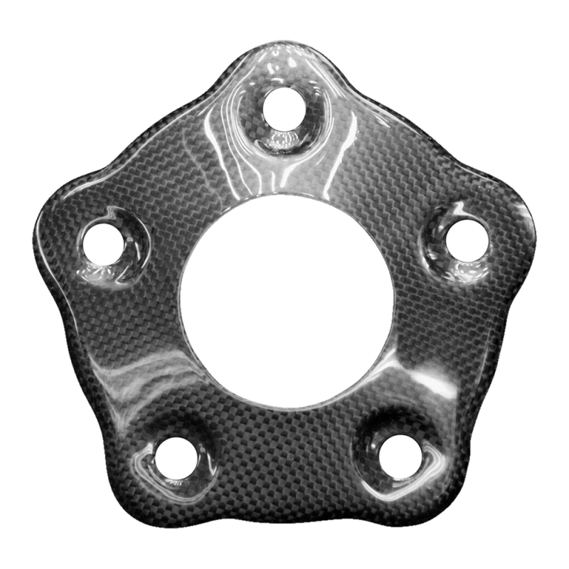 F&F Carbon Hintere Ritzelabdeckung, 100 % Carbon – Ducati Hypermotard 821