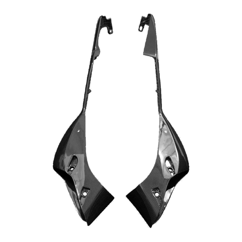 Fianchetto laterale posteriore F&F Carbon, carbonio/fibra di vetro – Ducati Monster 821 Stealth dal 2019