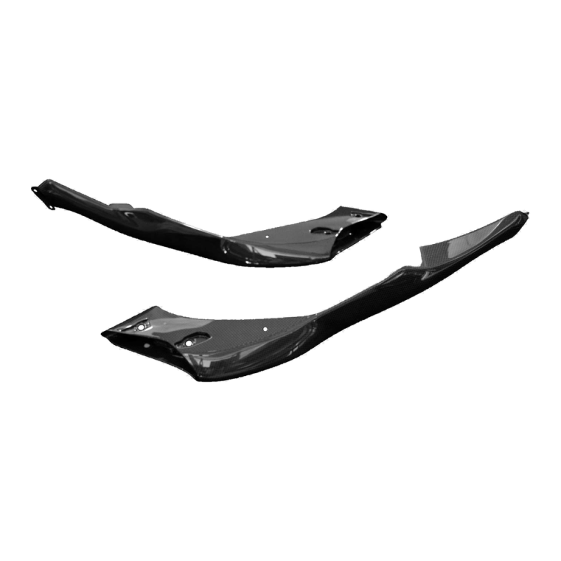 Fianchetto laterale posteriore F&F Carbon, carbonio/fibra di vetro – Ducati Monster 821 Stealth dal 2019