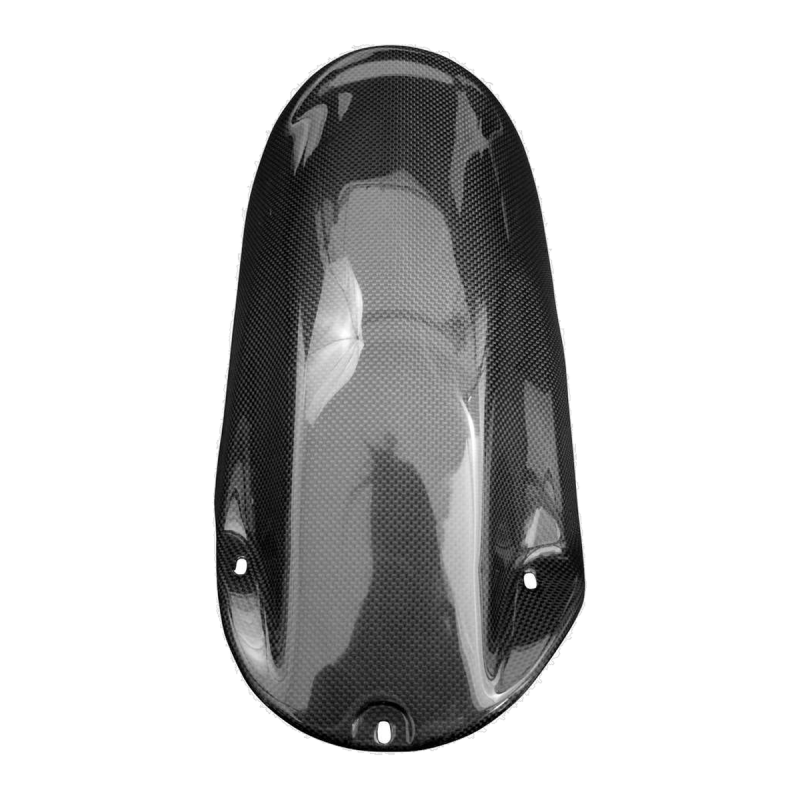 F&F Carbon Hinteres Schutzblech, Carbon/Glasfaser – Aprilia RS 250