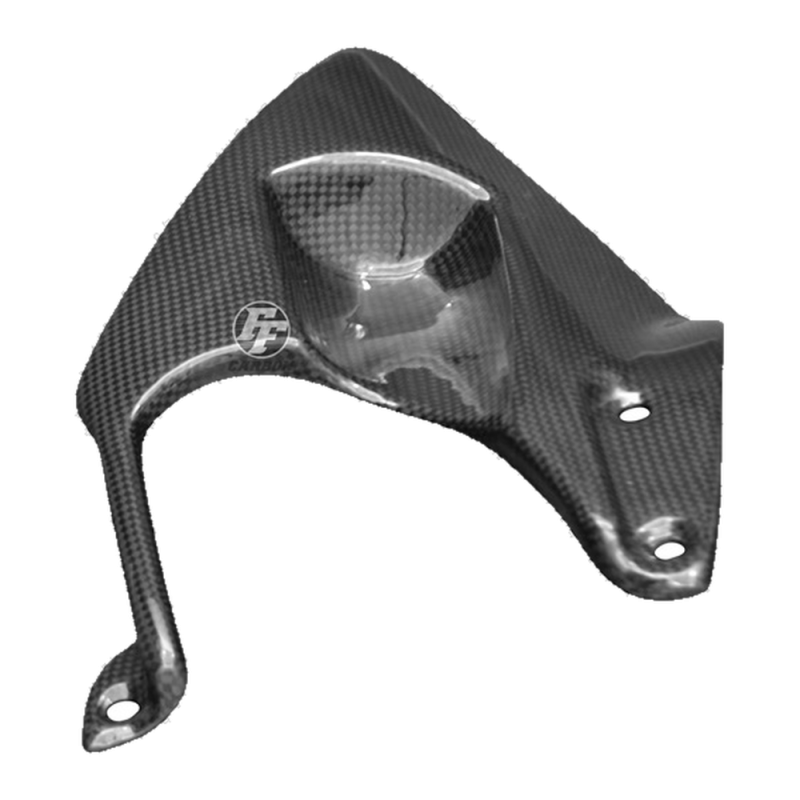 Parafango posteriore F&F Carbon, carbonio/fibra di vetro – Ducati 1098, 1198 ecc.