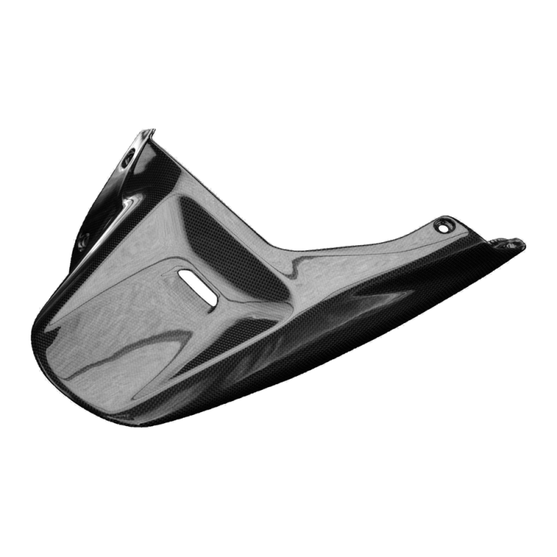 F&F Carbon Hinteres Schutzblech, Carbon/Glasfaser – Ducati Diavel 1260/1260S 2019–2020