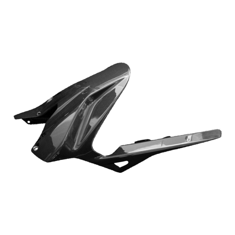 F&F Carbon Hinteres Schutzblech, Carbon/Glasfaser – Ducati Diavel V4 ab 2023