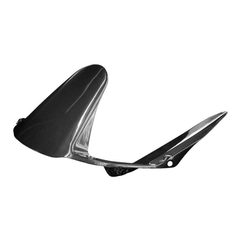 F&F Carbon Hinteres Schutzblech, 100 % Carbon – Ducati Monster 797 ab 2017