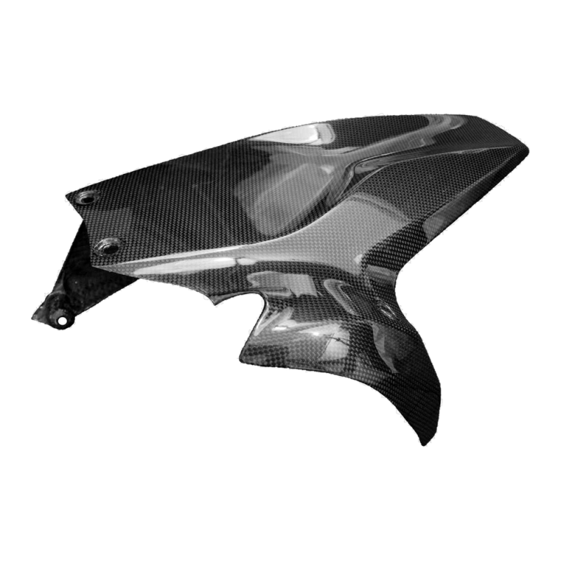 F&F Carbon Hinteres Schutzblech, Carbon/Glasfaser – Ducati Panigale V2 2020–2022