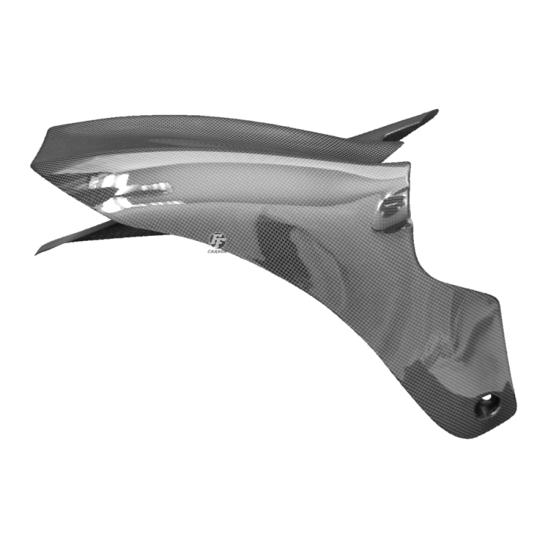 F&F Carbon Hinteres Schutzblech (Kurze Version), Carbon/Glasfaser – Ducati Diavel 2010–2018