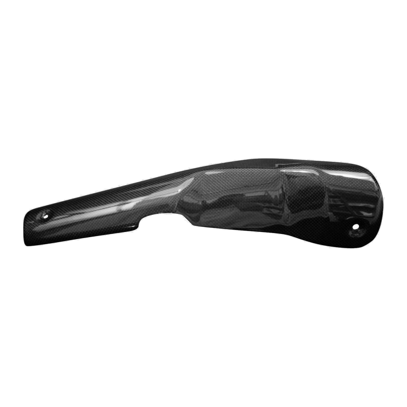 F&F Carbon Hitzeschutz, 100 % Carbon – Aprilia Tuono V4 ab 2025, RSV4 ab 2025