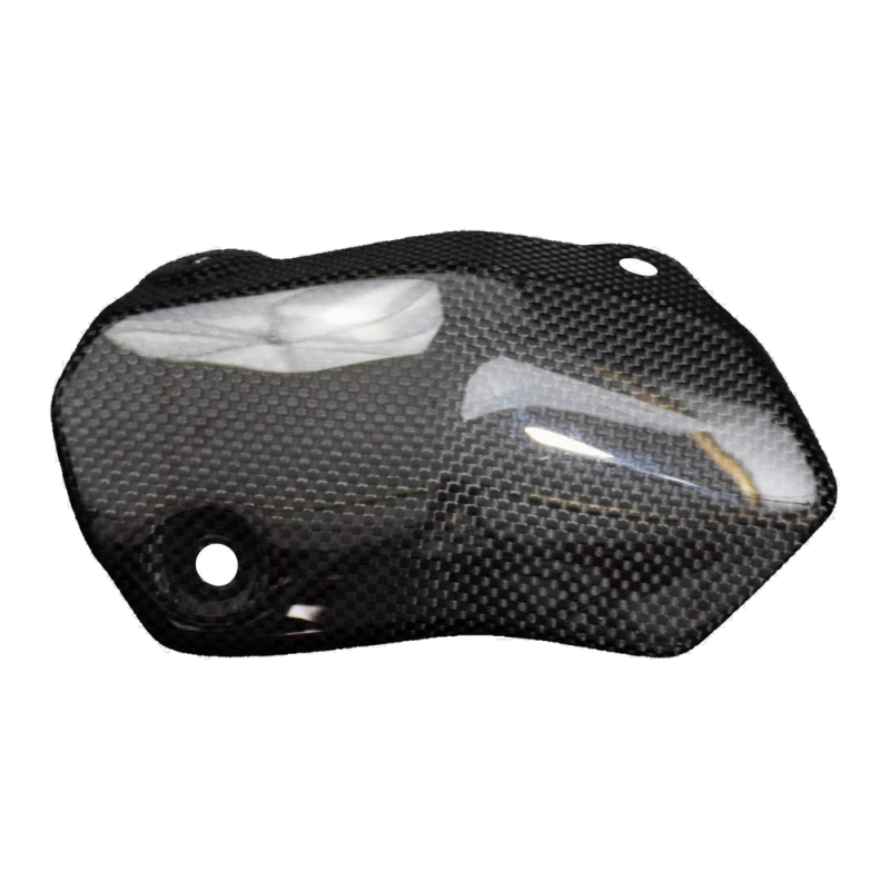 F&F Carbon Hitzeschutz, 100 % Carbon – Ducati Monster 1200 ab 2017