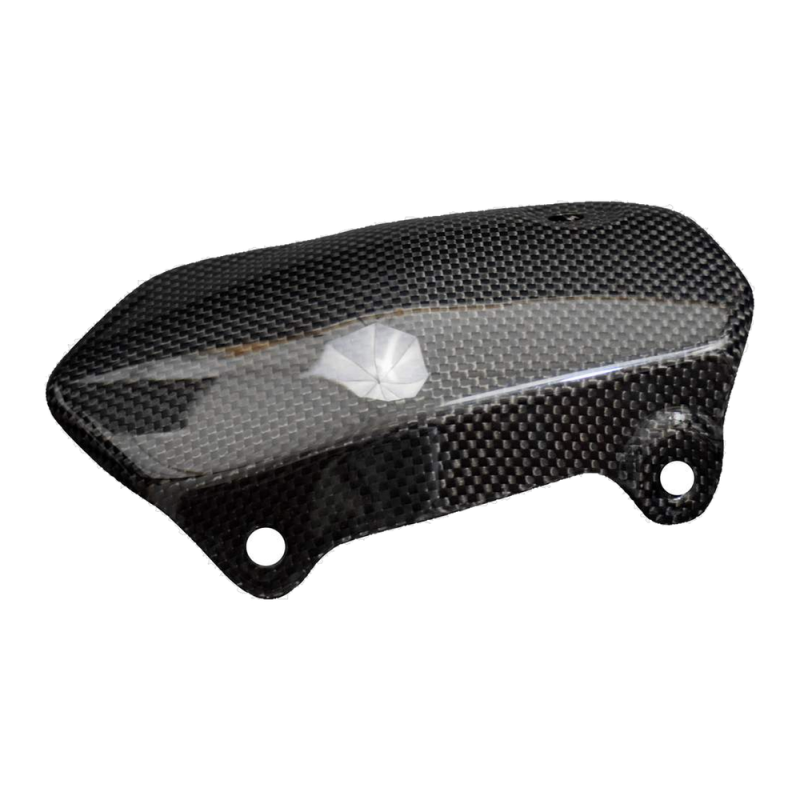 F&F Carbon Hitzeschutz, 100 % Carbon – Ducati Monster 1200 ab 2017
