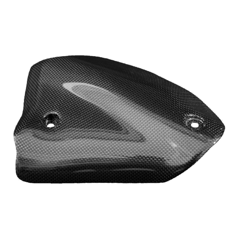 F&F Carbon Hitzeschutz, 100 % Carbon – Ducati Multistrada 1260 ab 2018