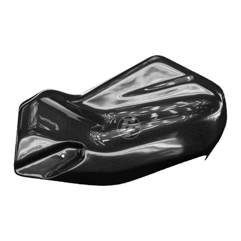 F&F Carbon Hitzeschutz, Carbon/Glasfaser – Ducati Multistrada 950 ab 2017, Multistrada V2 2022–2024