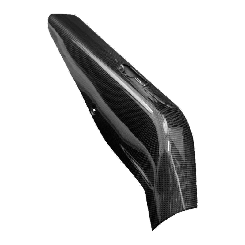 F&F Carbon Hitzeschutz, 100 % Carbon – Ducati Multistrada V4/V4S ab 2025