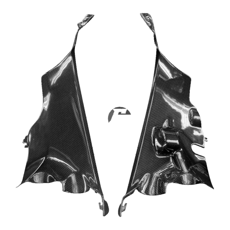Carena interna F&F Carbon, 100 % carbonio – Ducati Panigale V4, Panigale V4S