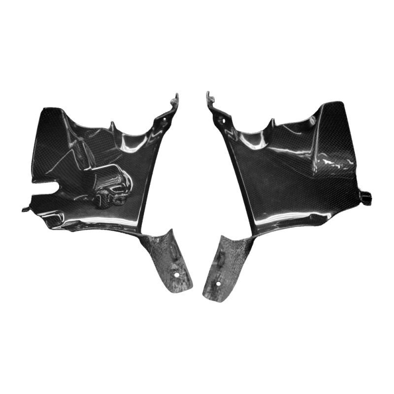 Carena interna F&F Carbon, 100 % carbonio – Ducati Panigale V4, Panigale V4S
