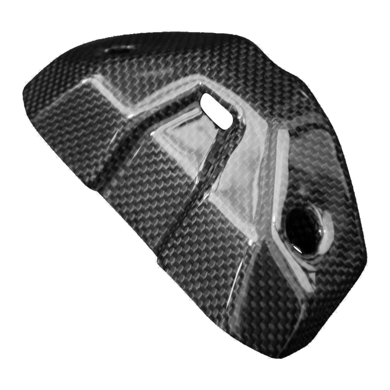 F&F Carbon Instrumenten-Abdeckung, 100 % Carbon – Ducati Streetfighter V4