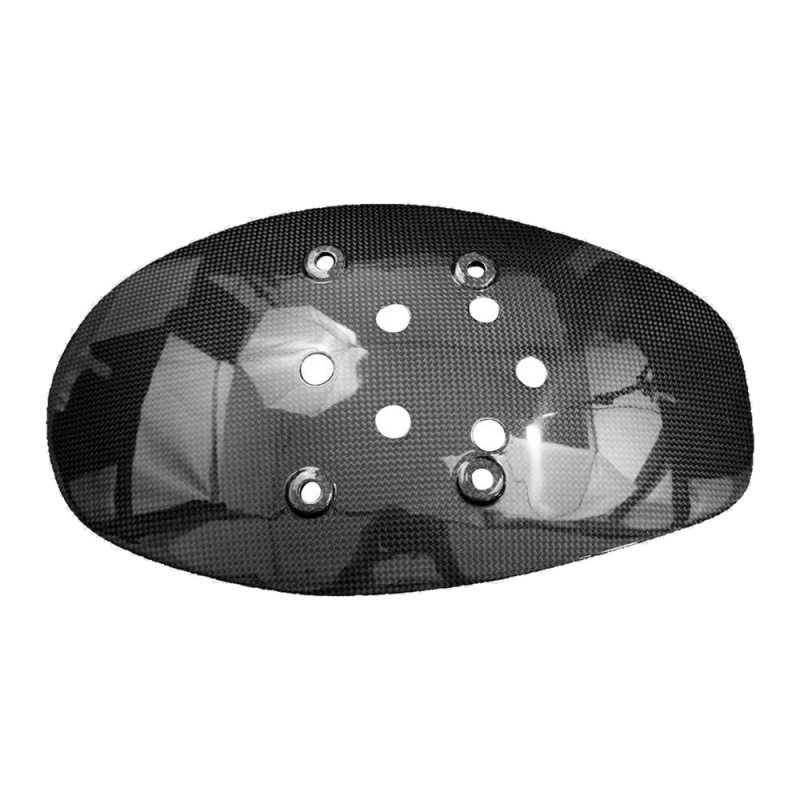 F&F Carbon Kennzeichenhalter, Carbon/Glasfaser – Ducati Diavel V4