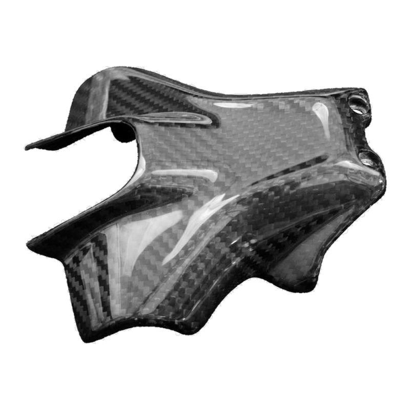 Portatarga F&F Carbon, 100 % carbonio – Ducati Monster 937 dal 2021