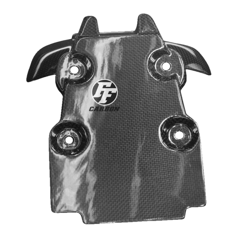 F&F Carbon Kennzeichenhalter, 100 % Carbon – Ducati Monster S2R