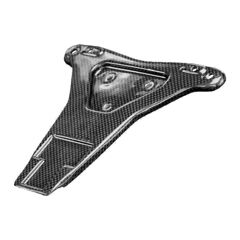 F&F Carbon Kennzeichenhalter, Carbon/Glasfaser – Ducati Panigale V4, Panigale V4S u. a.