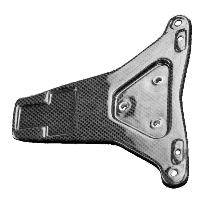 F&F Carbon Kennzeichenhalter, Carbon/Glasfaser – Ducati Panigale V4, Panigale V4S u. a.
