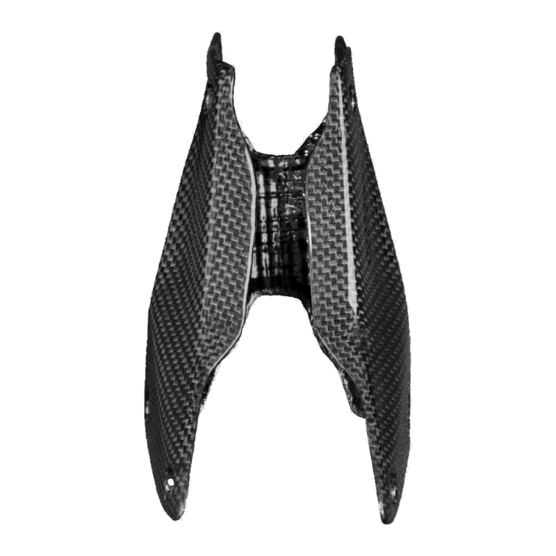 Portatarga F&F Carbon, carbonio/fibra di vetro – Ducati Panigale V4/V4S/V4R/V4SP