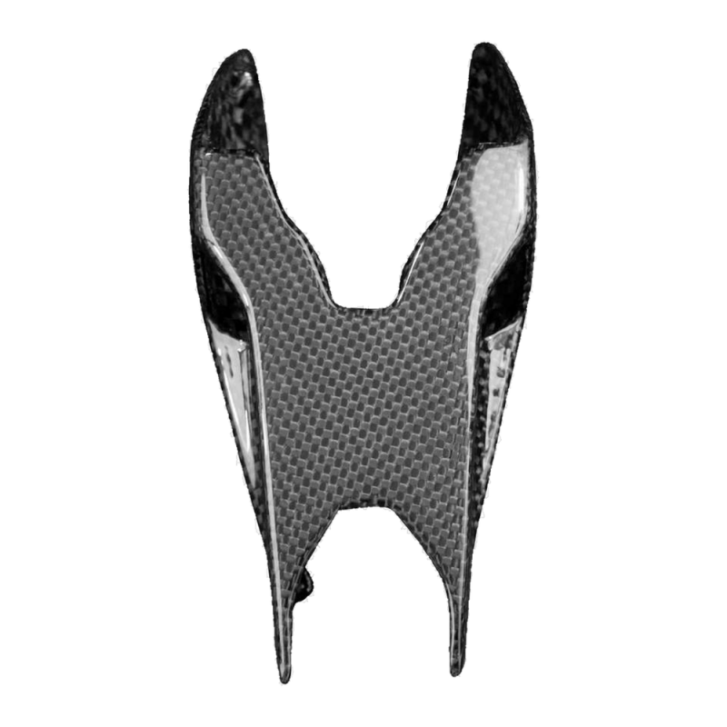 Portatarga F&F Carbon, carbonio/fibra di vetro – Ducati Panigale V4/V4S/V4R/V4SP