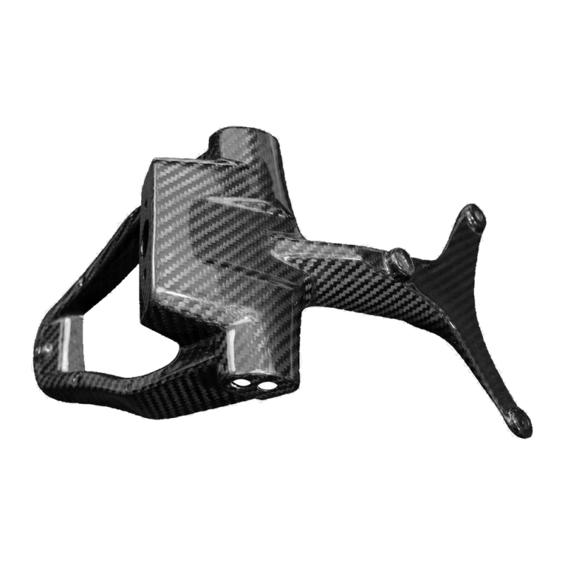F&F Carbon Kennzeichenhalter, 100 % Carbon – MV Agusta F4 1000 2010–2013