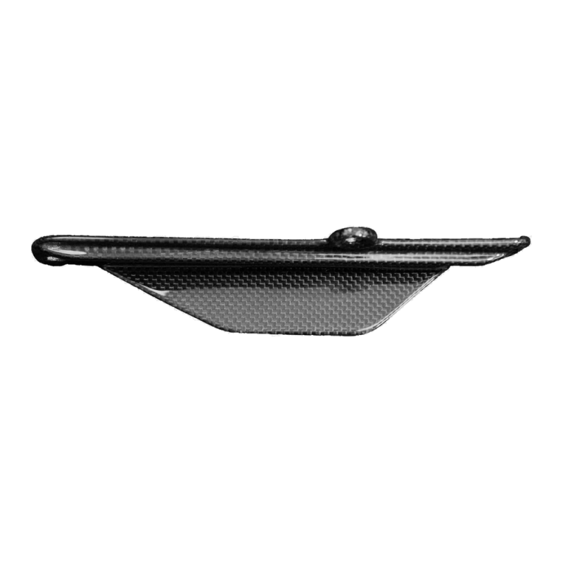 Paracatena posteriore F&F Carbon, 100 % carbonio – Ducati Monster 937 SP